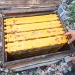 Honeycomb Boxes - Image 9