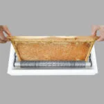 Honeycomb Uncapping Roller Machine