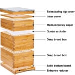 3 Layers 10-Frame Langstroth Beehive - Image 2
