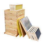 3 Layers 10-Frame Langstroth Beehive