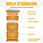 3 Layers 10-Frame Langstroth Beehive - Image 3