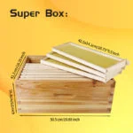 3 Layers 10-Frame Langstroth Beehive - Image 4