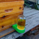Boardman Bee Feeder - Image 5