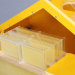 Hexagonal Indoor Observation Beehive - Image 6