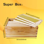 2 Layers 10-Frame Langstroth Beehive - Image 10