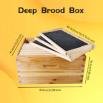 2 Layers 10-Frame Langstroth Beehive - Image 9