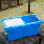 Pro Nuc Beehive - Image 8