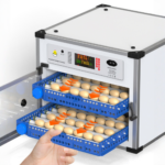 Automatic Egg Incubator - Image 2