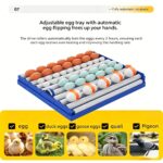 Automatic Egg Incubator - Image 5