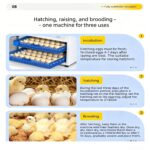 Automatic Egg Incubator - Image 6