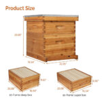2 Layers 10-Frame Langstroth Beehive - Image 6