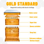 2 Layers 10-Frame Langstroth Beehive - Image 2
