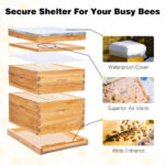 2 Layers 10-Frame Langstroth Beehive - Image 4