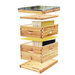 2 Layers 10-Frame Langstroth Beehive