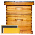 2 Layers 10-Frame Langstroth Beehive - Image 3