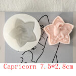 Star Sign Silicone Soap Mold - Image 12