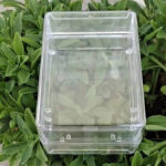 250g Comb Honey Cassette Kit - Image 6
