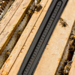 Beetle Blaster - Image 8
