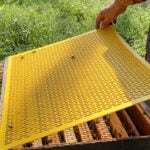 Oval Hole Plastic Queen Excluder - Image 7
