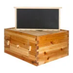 10-Frame Observation Langstroth Beehive - Image 5