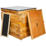 10-Frame Observation Langstroth Beehive - Image 3