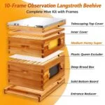10-Frame Observation Langstroth Beehive