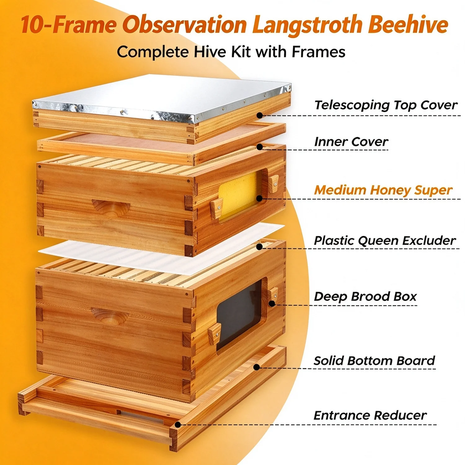 Observation Langstroth Beehive (3) 10-Frame Observation Langstroth Beehive - Image 1