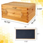 10-Frame Observation Langstroth Beehive - Image 4