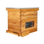 10-Frame Observation Langstroth Beehive - Image 6