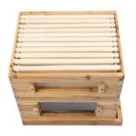 10-Frame Observation Langstroth Beehive - Image 8